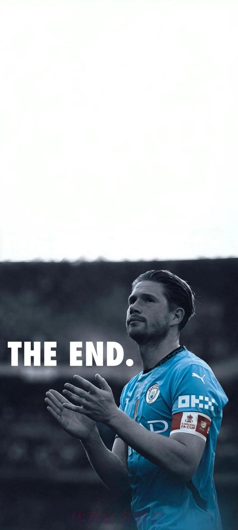 最新世界杯巴西德布劳内比赛解读深度解读